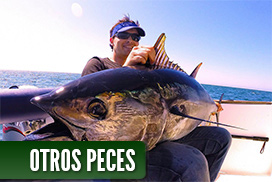 Galeria de fotos de otras especies de pesca